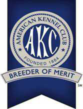 AMERICAN KENNEL CLUB